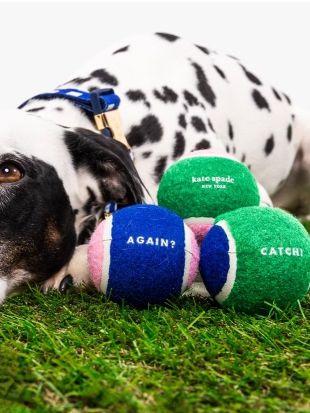 kate spade Blue, Green & Pink Plush Dog Tennis Ball Set Of 3 NWT